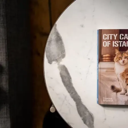 Cozy & Stylish 1br Retreat - Heart Of Galata! #416 Апартаменты