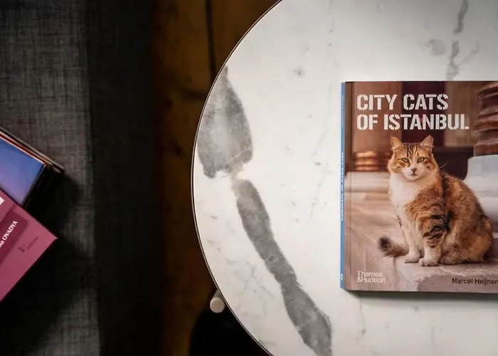 Cozy & Stylish 1br Retreat - Heart Of Galata! #416 Apartment